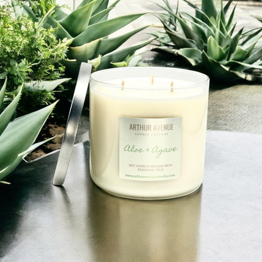 Aloe & Agave 3-Wick