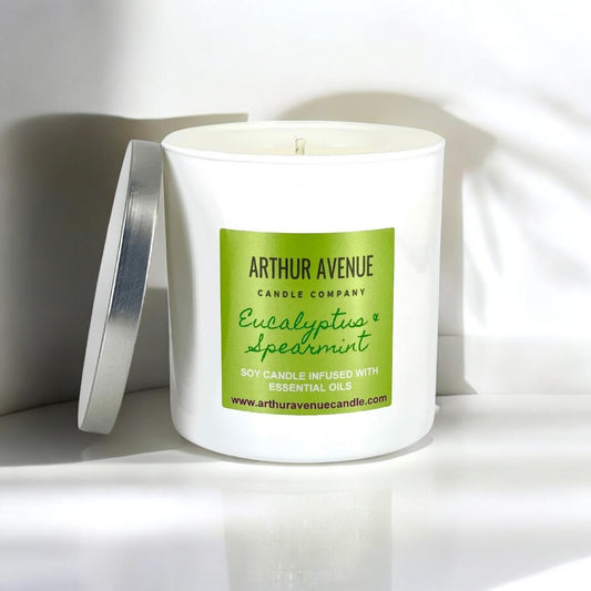 Eucalyptus & Spearmint Single Wick